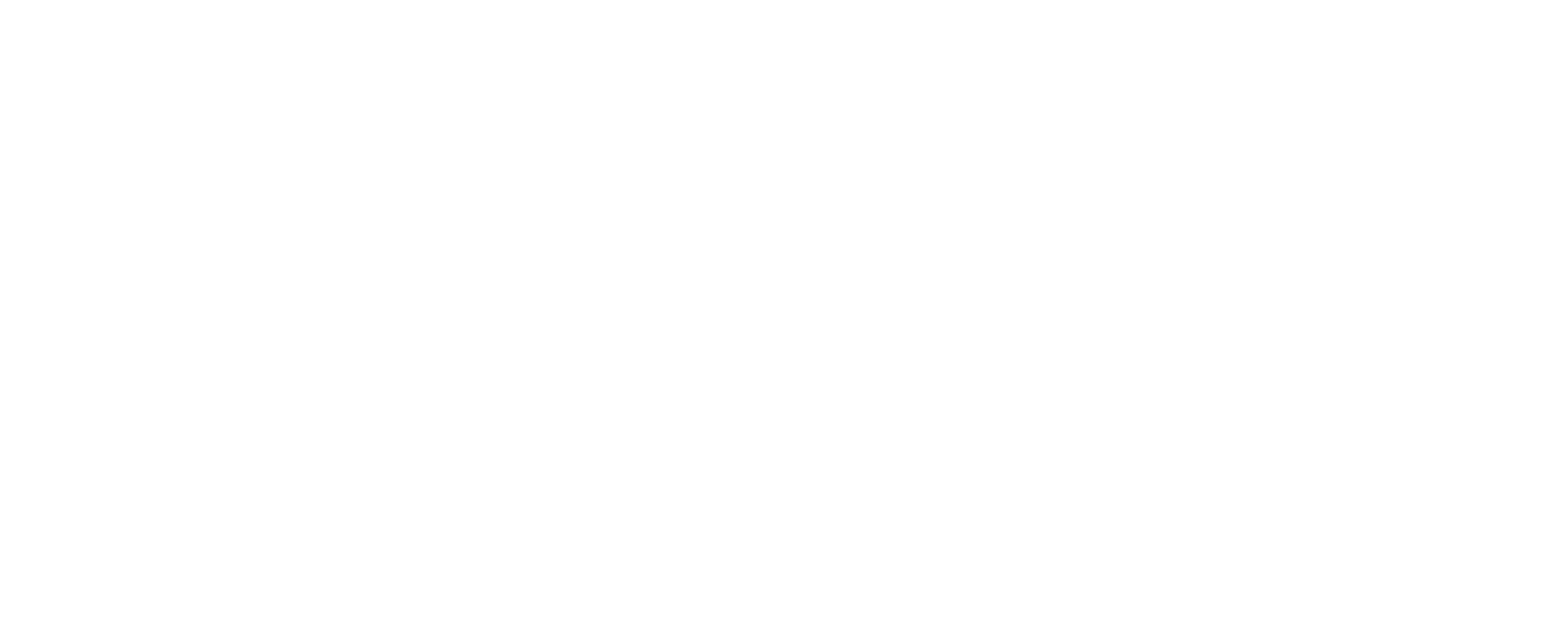Windup Solutions Logo in white