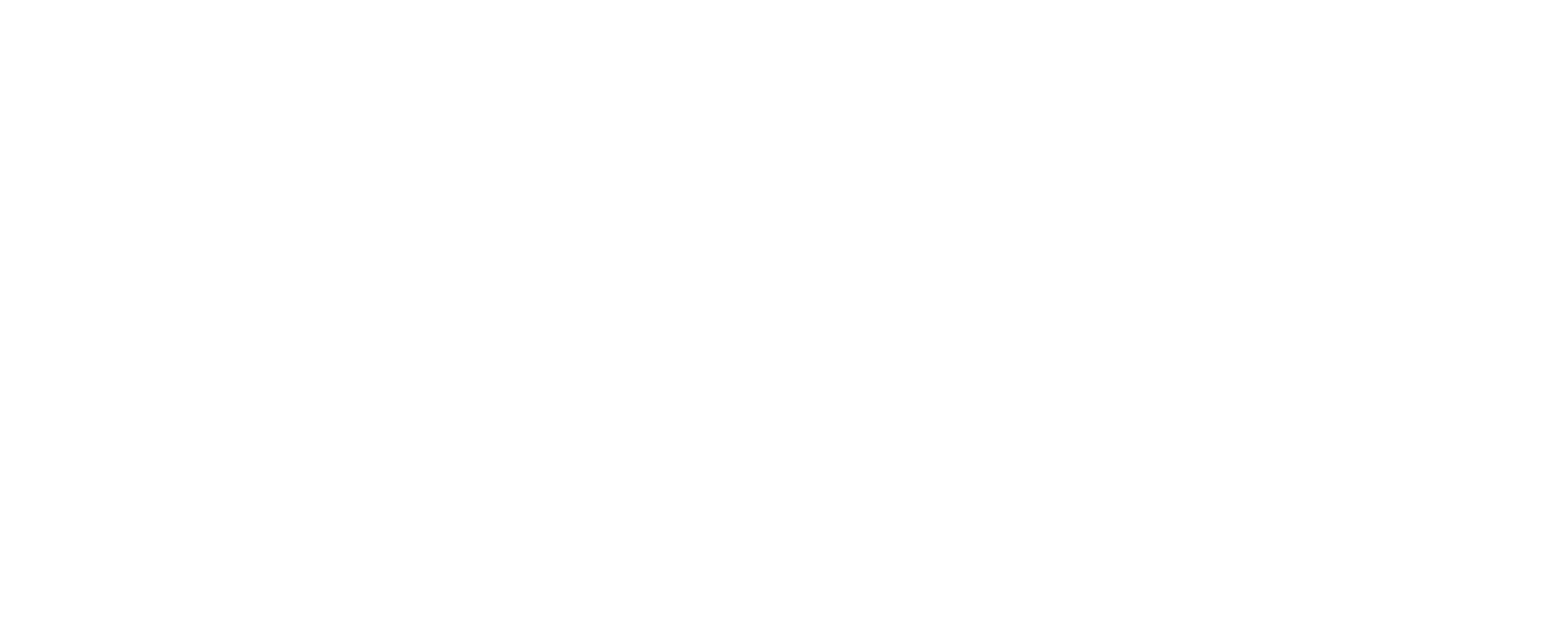 Windup Solutions Logo in white